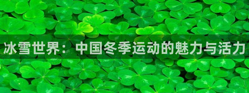 678体育：冰雪世界：中国冬季运动的魅力与活力