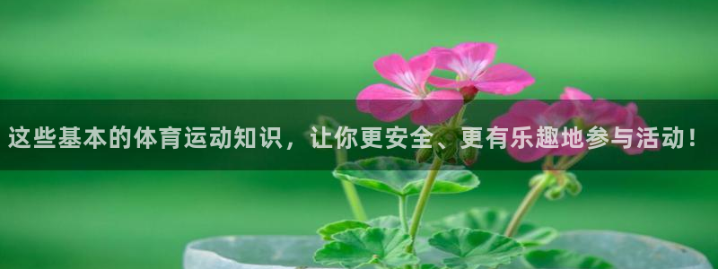 678体育官网：这些基本的体育运动知识，让你更安全、更有乐趣地参与活动！
