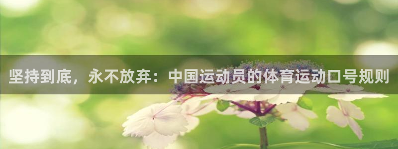 678体育：坚持到底，永不放弃：中国运动员的体育运动口号规则