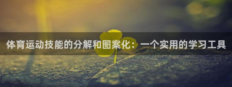 678体育官网：体育运动技能的分解和图案化：一个实用的学习工具