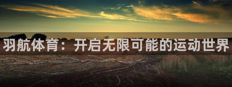 678体育app：羽航体育：开启无限可能的运动世界