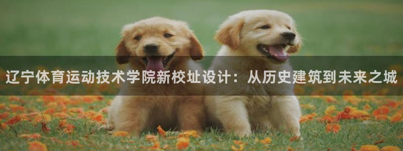 678体育知识：辽宁体育运动技术学院新校址设计：从历史建筑到未来之城