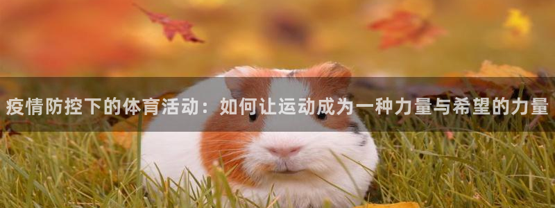 678体育官网下载：疫情防控下的体育活动：如何让运动成为一种力量与希望的力量