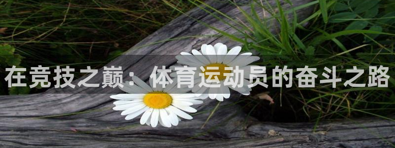 皇冠678体育：在竞技之巅：体育运动员的奋斗之路